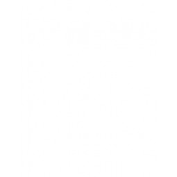 SELDEN - SHAFT ø12x70